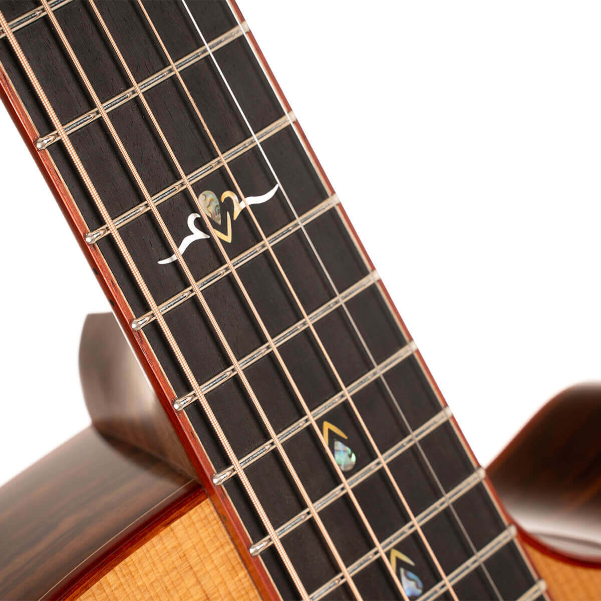 Cort Gold-A10 Cocobolo – Massief AAA Cocobolo, Torrefied Adirondack & Fishman Flex Blend