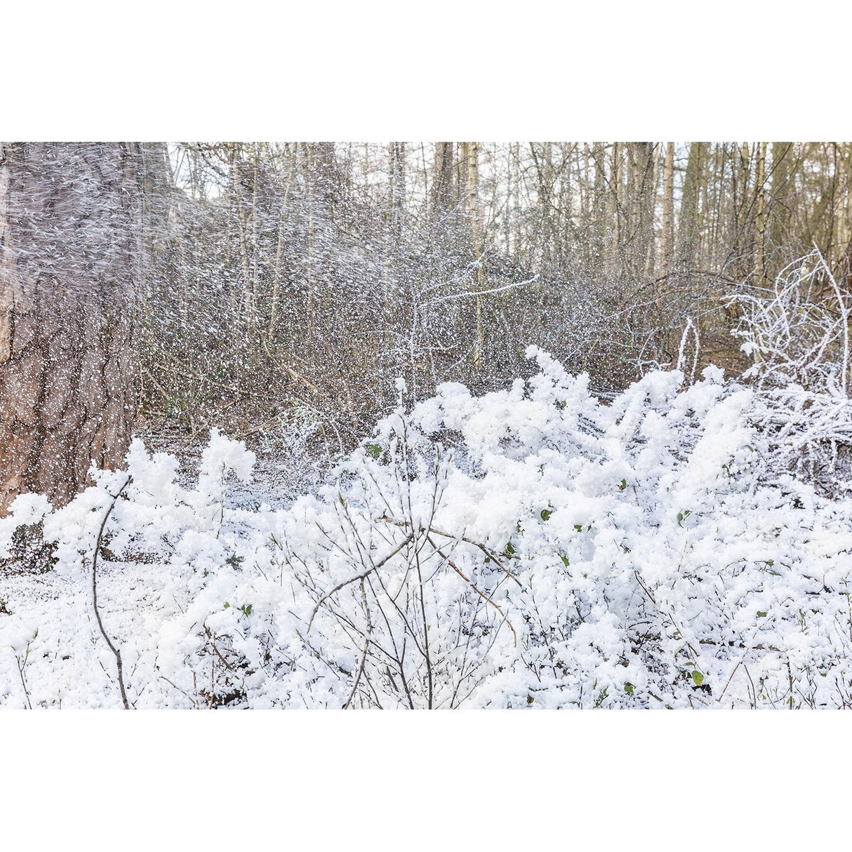 beamZ Pro SNOW 5000 Professionele Hoogvolume Sneeuwmachine met DMX – 20L Tank