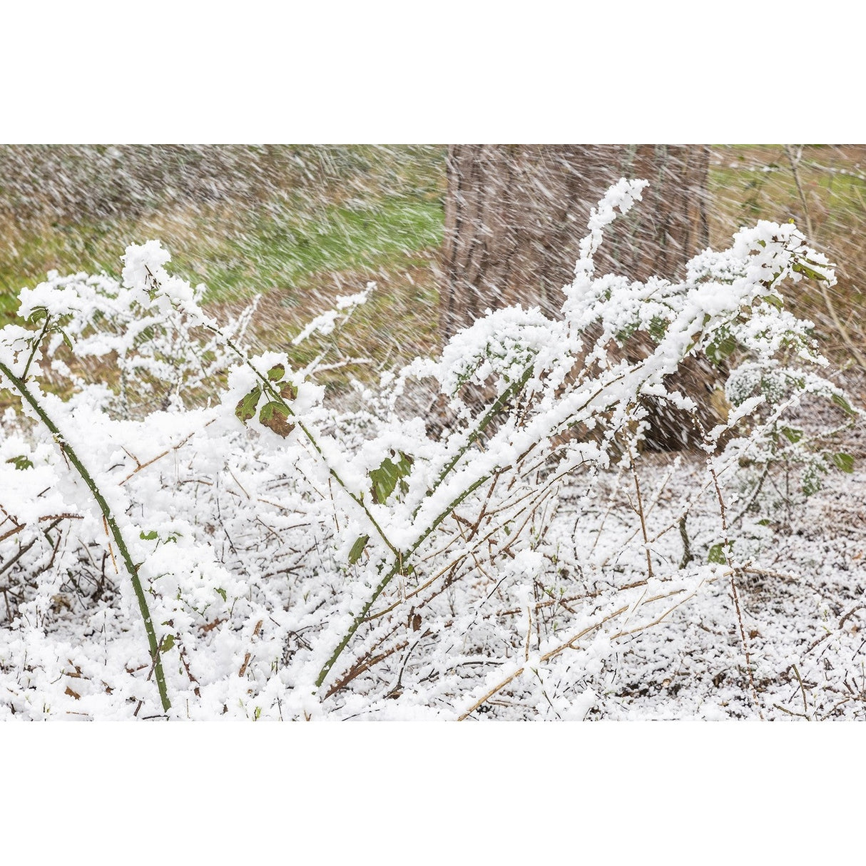 beamZ Pro SNOW 5000 Professionele Hoogvolume Sneeuwmachine met DMX – 20L Tank