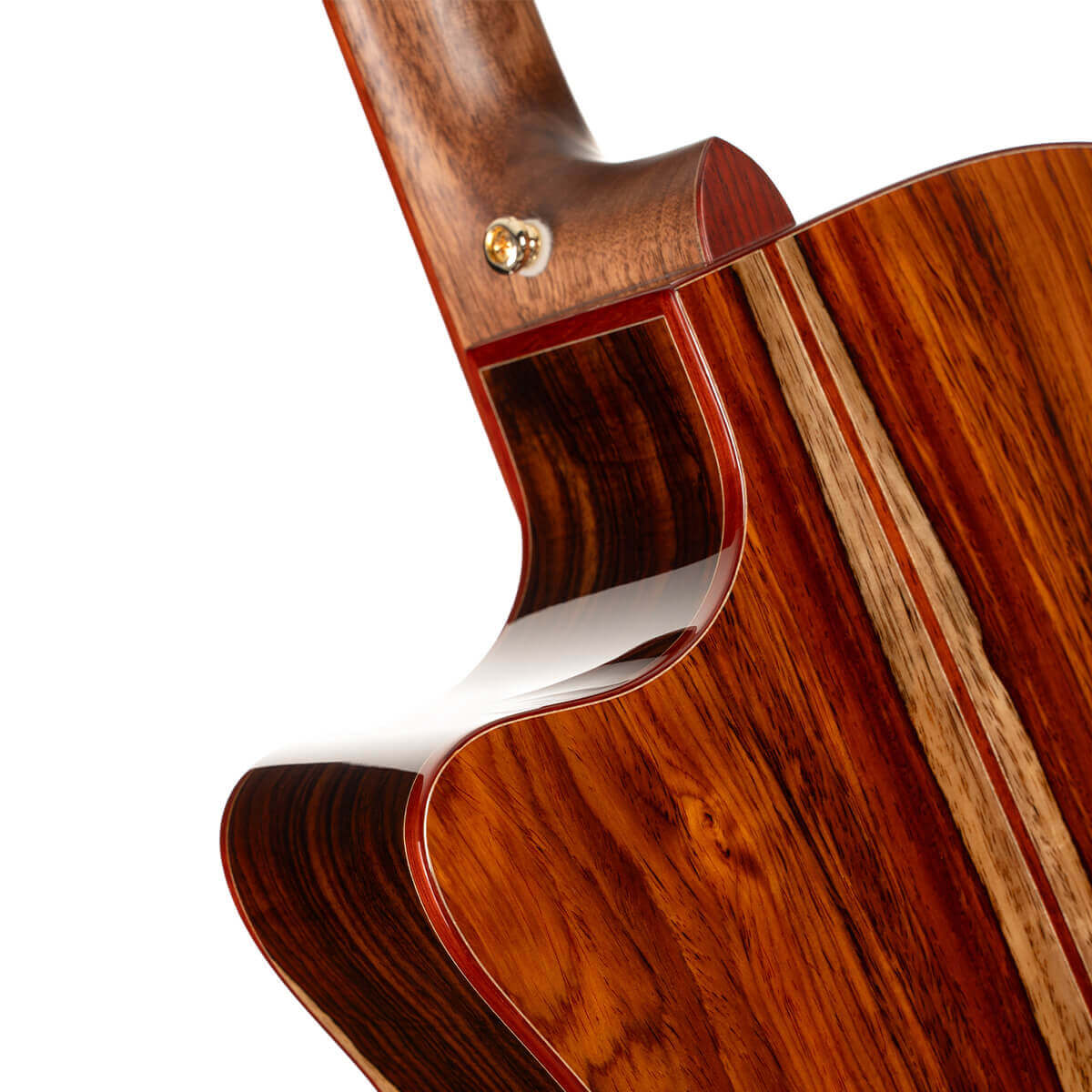 Cort Gold-A10 Cocobolo – Massief AAA Cocobolo, Torrefied Adirondack & Fishman Flex Blend