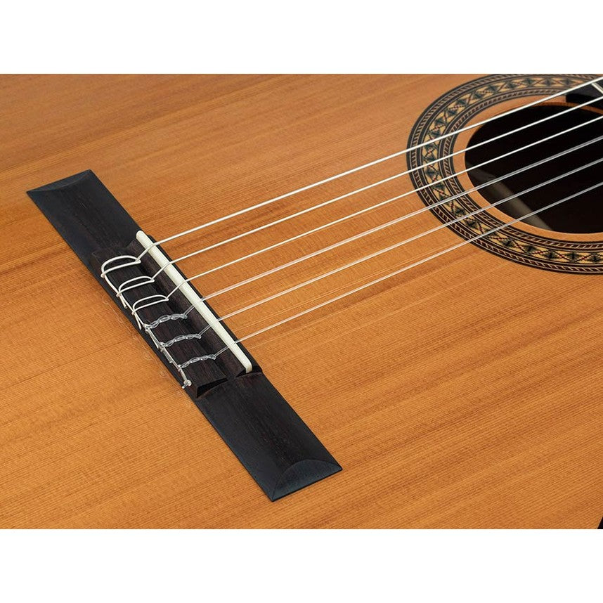 Salvador Cortez CC-22 Klassieke Gitaar – Solid Top Artist Series