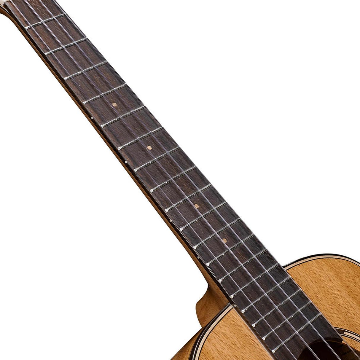 TOM 200 RM E Tenor Ukelele met Massief Mahonie en Pickup Inclusief Koffer