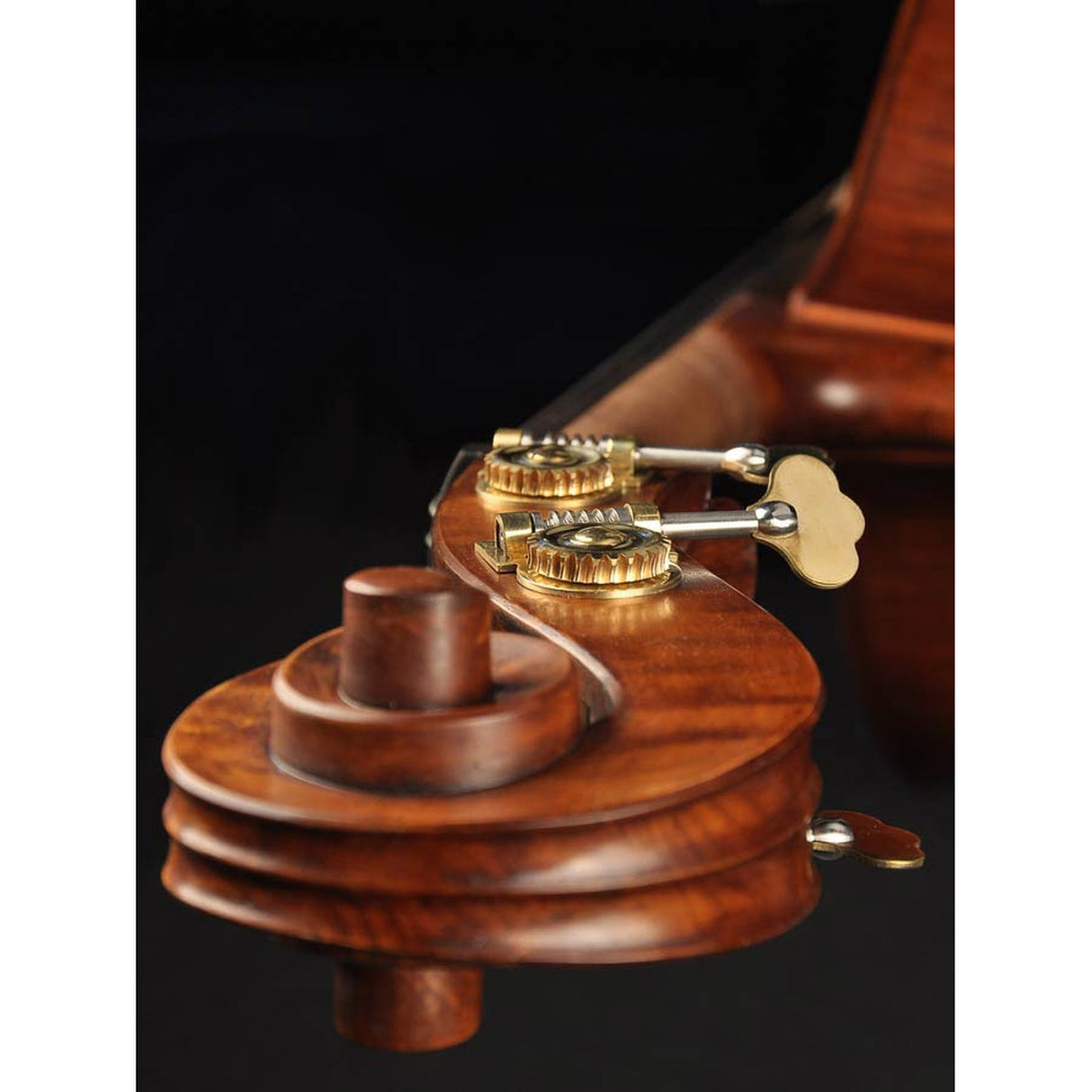 Rudolph RB-234-Vcontrabas 3/4, triplex, spiritus lak, ebben toets, viool model