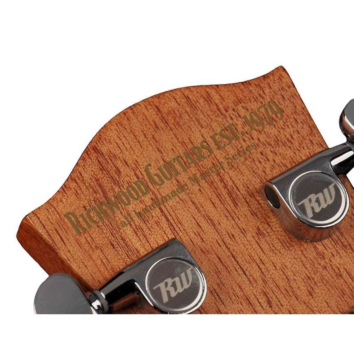 Richwood D-20-E Master Series Dreadnought Gitaar met Element – Inclusief Stemapparaat & Luxe Standaard