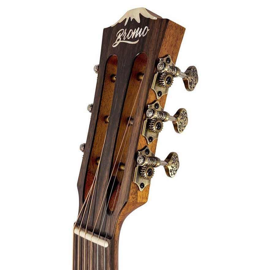 Bromo BAR6E Rocky Mountain Series parlor akoestische western gitaar Semi Akoestisch