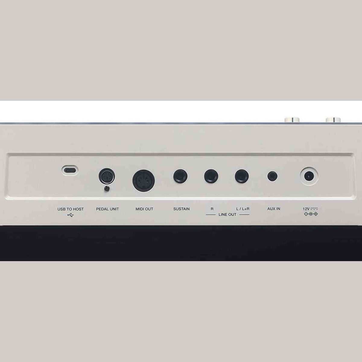 Medeli SP-C220/WH Performer Series Stage Piano Wit