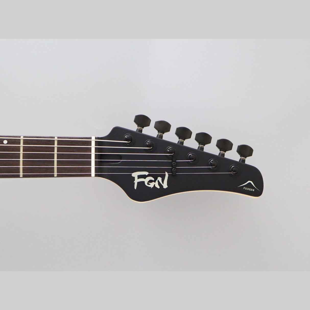FGN J-Standard Iliad Dark Evolution 664 elektrische gitaar Open Pore Black Fishman Fluence