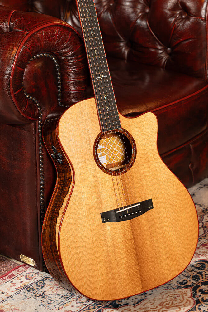 Cort Gold-A10 Cocobolo – Massief AAA Cocobolo, Torrefied Adirondack & Fishman Flex Blend