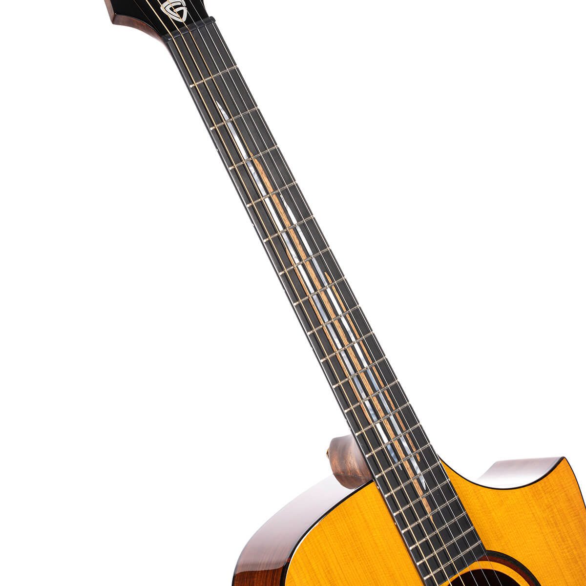 Cort Luxe II Frank Gambale Signature – Massieve Adirondack Top, Flamed Blackwood & Fishman Flex Blend