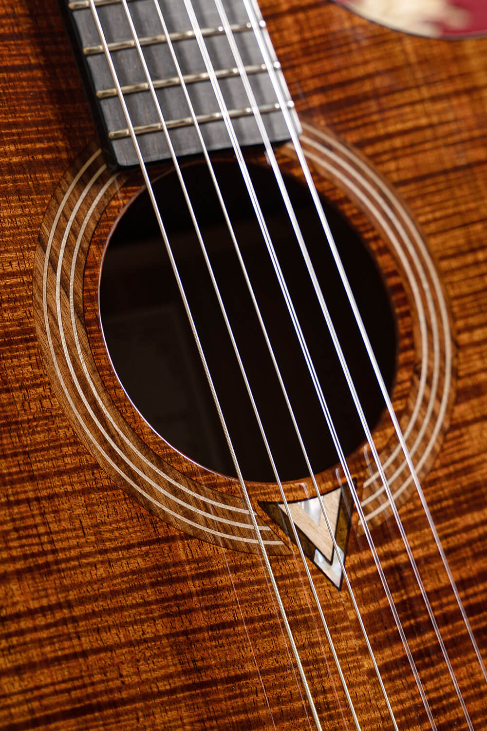 Cort Luxe Nylon Frank Gambale Signature – Massief Blackwood, Nylon Snaren & Fishman Flex Blend