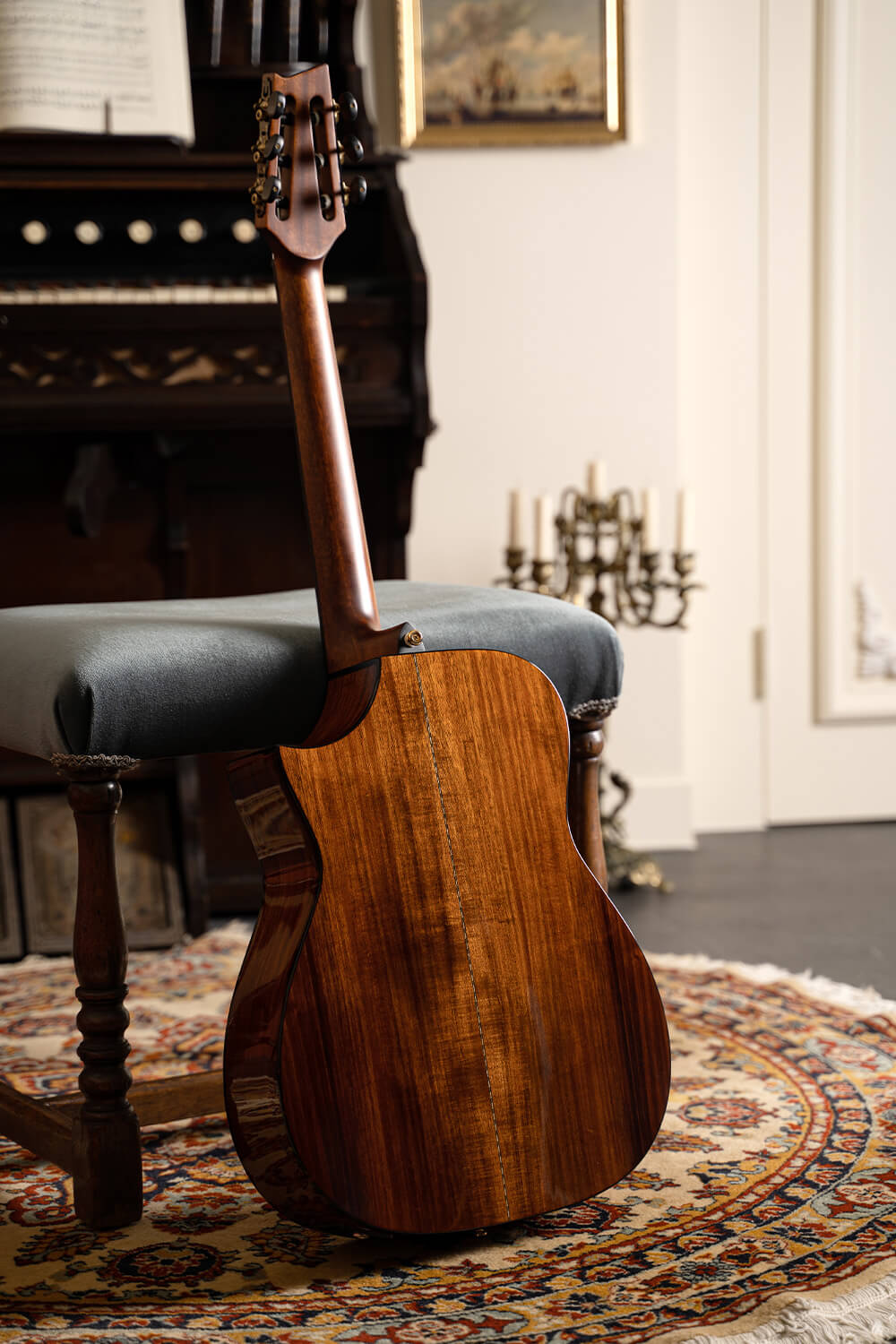 Cort Luxe Nylon Frank Gambale Signature – Massief Blackwood, Nylon Snaren & Fishman Flex Blend