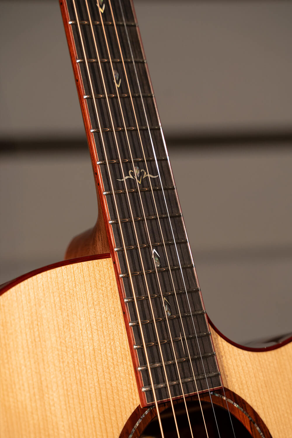 Cort Gold-A10 Cocobolo – Massief AAA Cocobolo, Torrefied Adirondack & Fishman Flex Blend