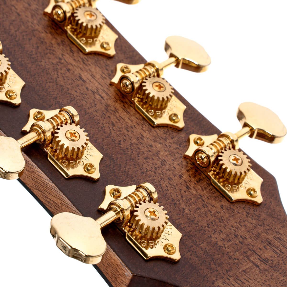 Cort Gold-A6 – Massief Sitka, Mahonie & Fishman Flex Blend