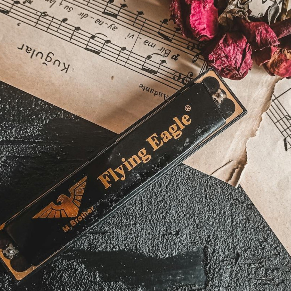 Which harmonica is right for me? – VDS instrumenten