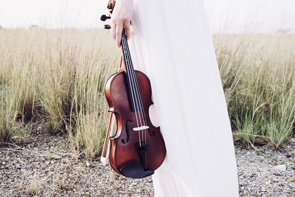 Vds Instrumento The History of the Violin – VDS instrumenten