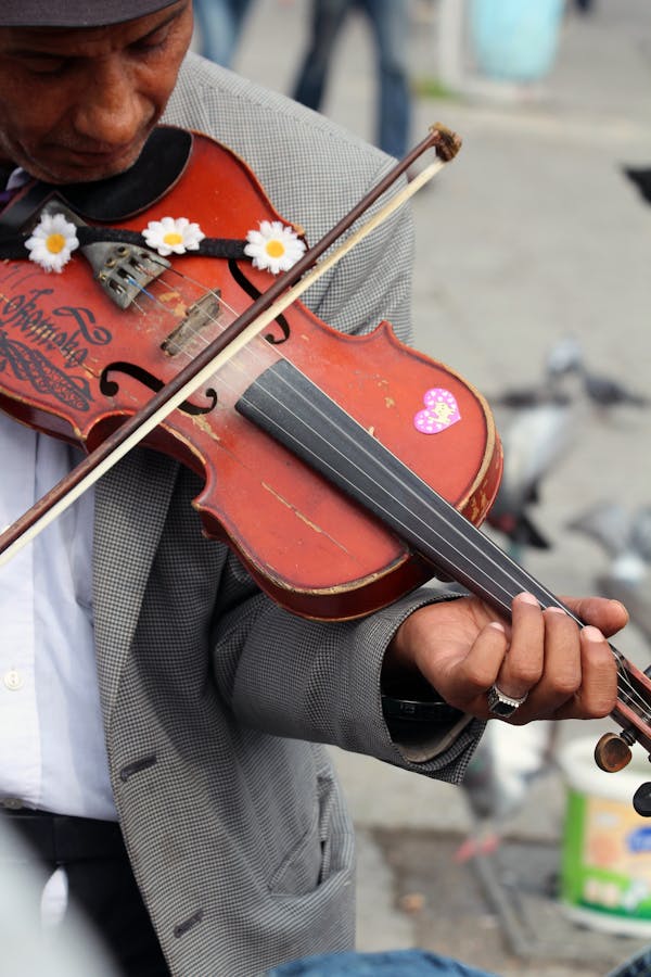 Which violin bow do I need? – VDS instrumenten