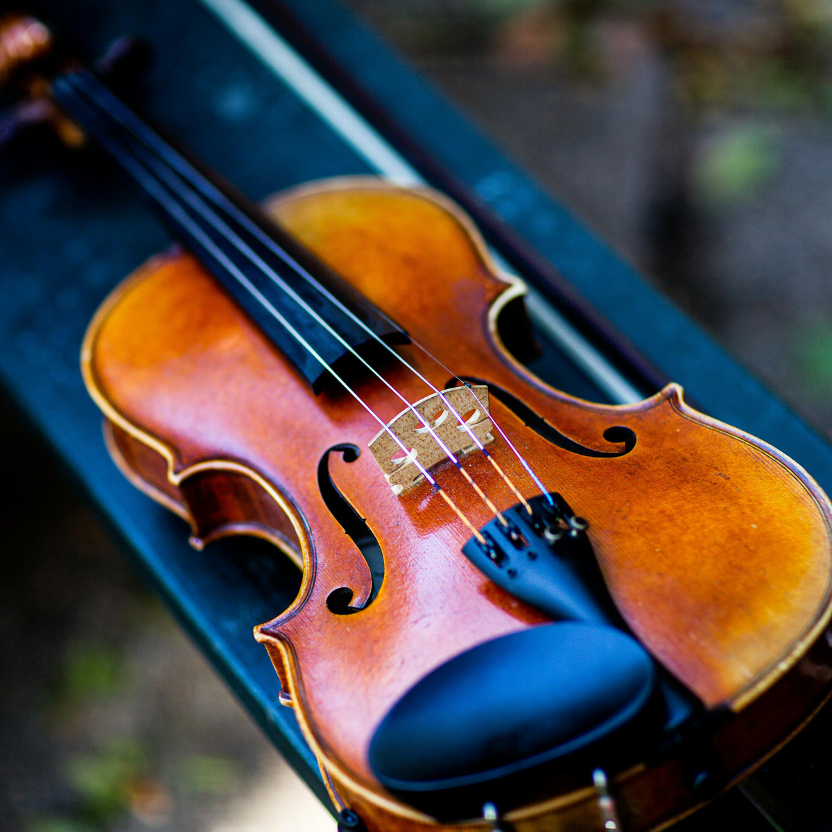 Vds Instrumento What is the difference between a laminated and solid violin? – VDS ...