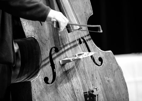 Welk instrument past bij jou? Een gids voor beginners