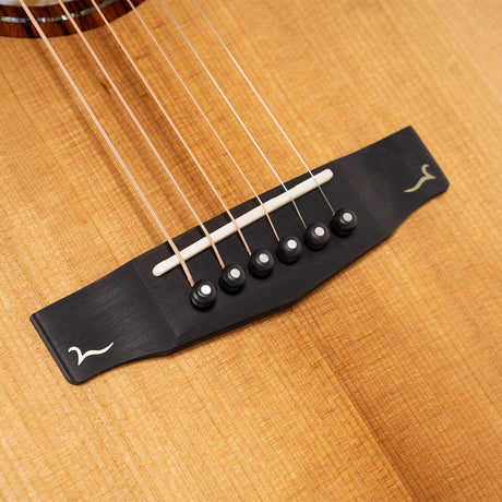 Cort Gold-A10 Cocobolo – Massief AAA Cocobolo, Torrefied Adirondack & Fishman Flex Blend