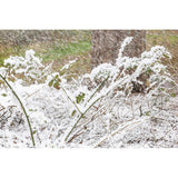 beamZ Pro SNOW 5000 Professionele Hoogvolume Sneeuwmachine met DMX – 20L Tank