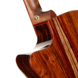Cort Gold-A10 Cocobolo – Massief AAA Cocobolo, Torrefied Adirondack & Fishman Flex Blend
