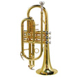 Stewart Ellis SE-1200-L Pro Series cornet messing lak incl. softcase
