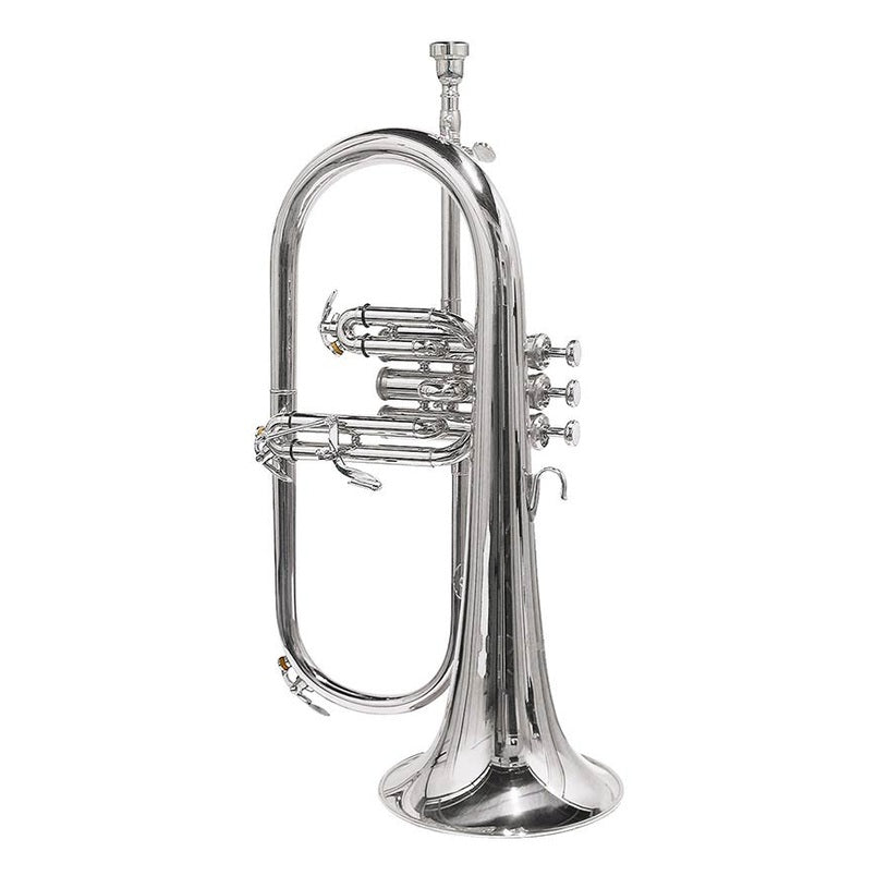 Stewart Ellis SE-1100-S Pro Series bugel verzilverd incl. softcase