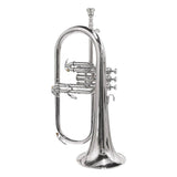 Stewart Ellis SE-1100-S Pro Series bugel verzilverd incl. softcase