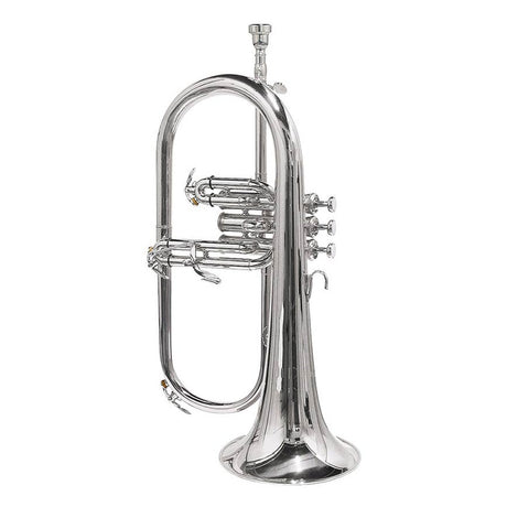 Stewart Ellis SE-1100-S Pro Series bugel verzilverd incl. softcase