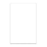 Boston PG-134-W pickguard material, 1 ply, 45x29cm, white