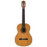 Salvador Cortez CC-22 Klassieke Gitaar – Solid Top Artist Series