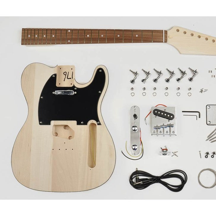 Boston KIT-TE-10 TE model electric guitar self-assembly kit – VDS ...