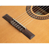 Salvador Cortez CC-22-BB Klassieke Gitaar – Solid Top Artist Series Bambino 1/2