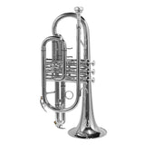 Stewart Ellis SE-1200-S Pro Series cornet geel verzilverd incl. softcase