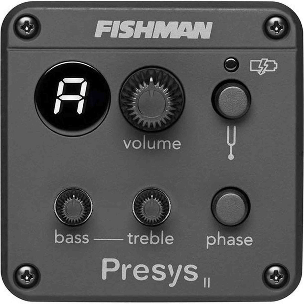 Richwood D-20-E Master Series Dreadnought Gitaar met Element – Inclusief Stemapparaat & Luxe Standaard