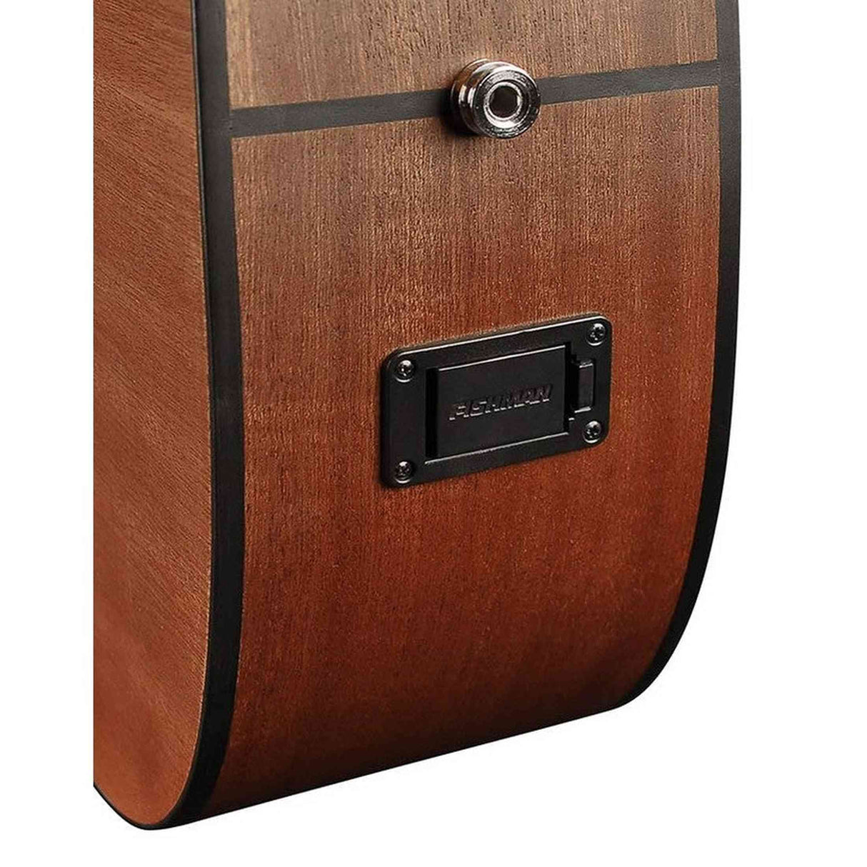 Richwood D-20-E Master Series Dreadnought Gitaar met Element – Inclusief Stemapparaat & Luxe Standaard