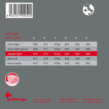 Galli EG-1046 ProCoated elektrische gitaarsnaren 010-046