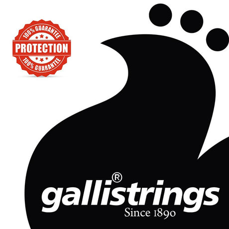 Galli EG-1046 ProCoated elektrische gitaarsnaren 010-046