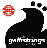 Galli EG-1252 ProCoated elektrische gitaarsnaren 012-052