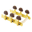 Salvador Cortez MH0620 Stemmechanieken 3L/3R Goud met Amber Knoppen voor Model 06081520