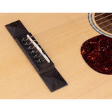 Richwood RP-27 Artist Series parlor akoestische westerngitaar