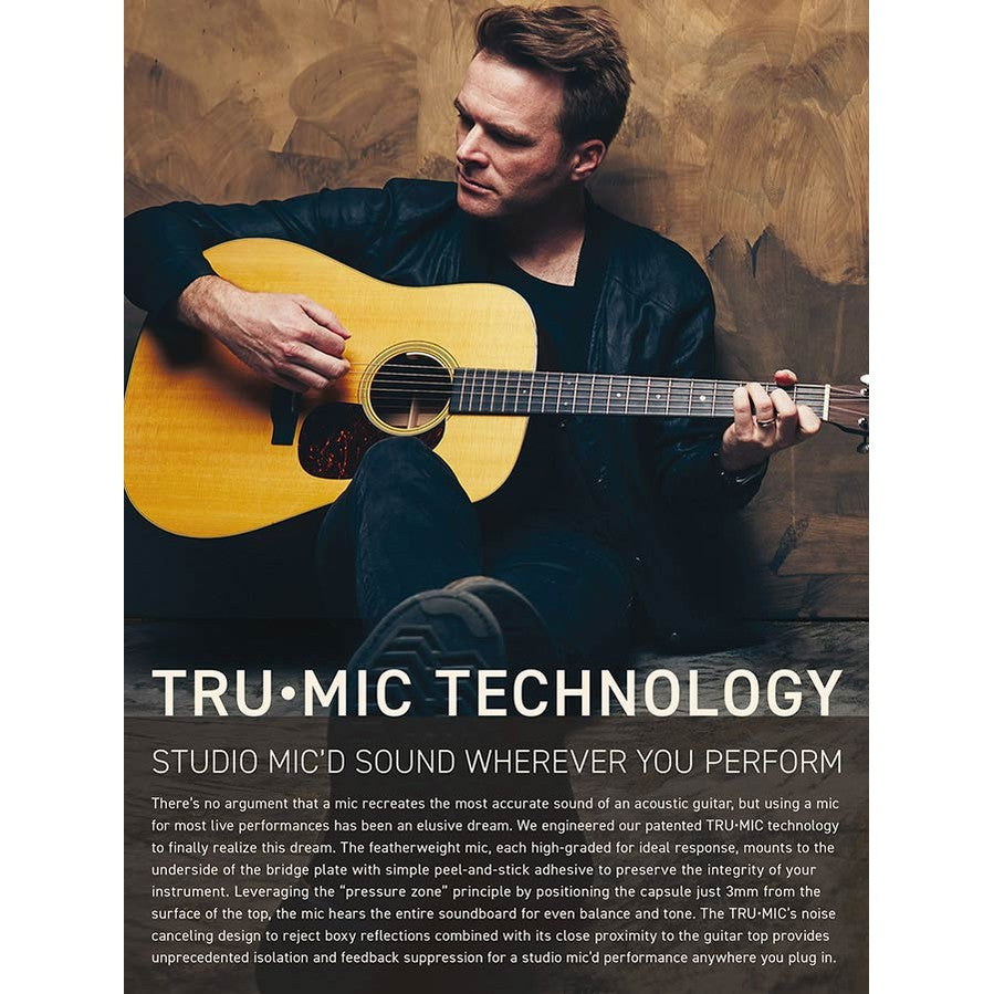 LR Baggs Anthem Actief Microfoonsysteem met Klankgatvoorversterker