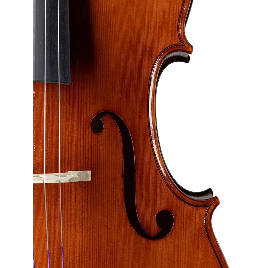 Rudolph RC-EU-30-S Virtus European Stoica workshop cello 4/4