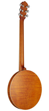 SX BJ566 6-Snarige Gitaarbanjo 11 Inch Aluminium Rim met Remo Fiberskyn Vel en Gigbag