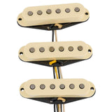 Fender 0992163000 Ancho Poblano Stratocaster Pickups - set of 3