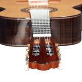 Alhambra José Miguel Moreno Serie C concertgitaar, massief ceder, massief Indiaas palissander