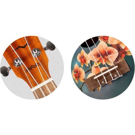 Flight AUC-33 Orchid Concert Ukulele met Spruce Top, Sapele Body en Aquila Nylgut Snaren