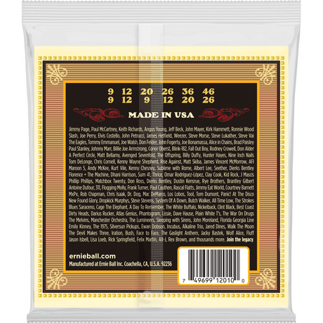 Ernie Ball 2010 Earthwood Akoestische Gitaar Snaren 12-String Light 009–046 80/20 Bronze