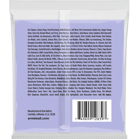 Ernie Ball 2839 Baritone Slinky elektrische gitaarsnaren 013-072