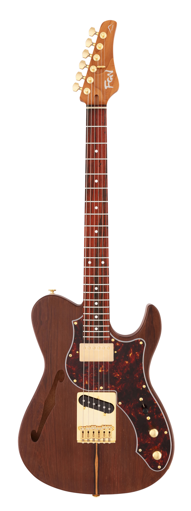 FGN Expert Iliad elektrische gitaar Natural Flat, Madagascar Rosewood Top, 22 RVS frets, met koffer